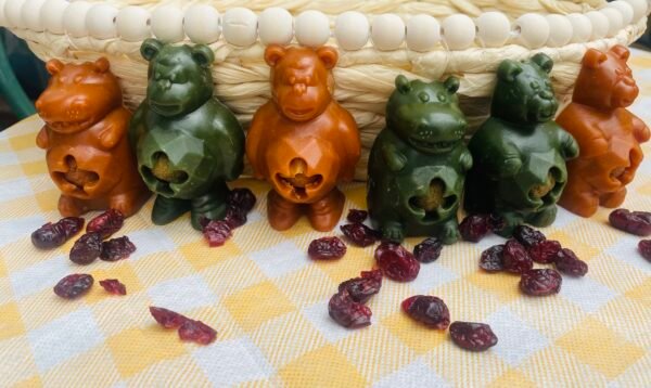 Luna Buddies - Gorillas, Hippos & Bears...oh My!